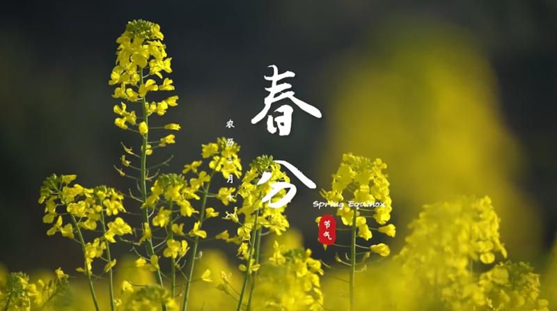 春水初生，春林初盛
